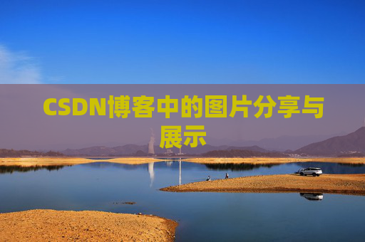 CSDN博客中的图片分享与展示